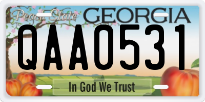 GA license plate QAA0531