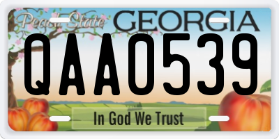GA license plate QAA0539