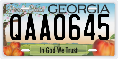 GA license plate QAA0645