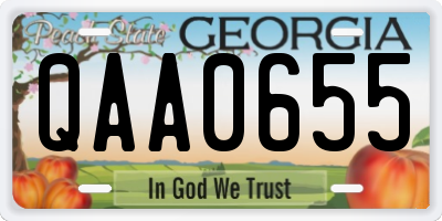 GA license plate QAA0655