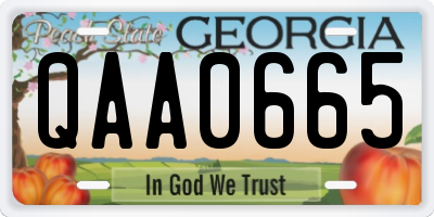 GA license plate QAA0665