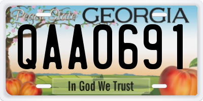 GA license plate QAA0691