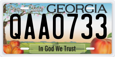 GA license plate QAA0733