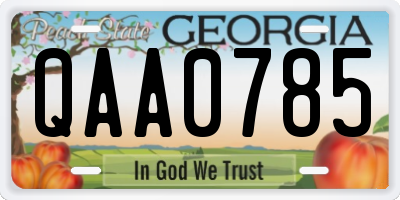 GA license plate QAA0785