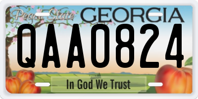 GA license plate QAA0824
