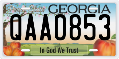 GA license plate QAA0853