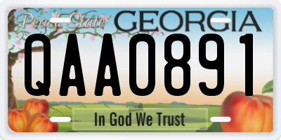 GA license plate QAA0891