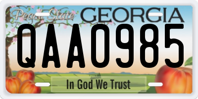 GA license plate QAA0985