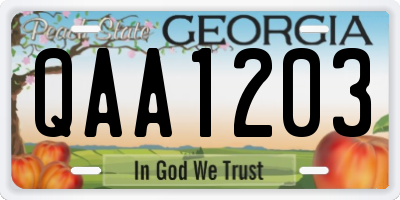 GA license plate QAA1203