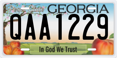 GA license plate QAA1229
