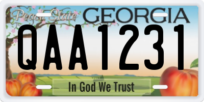 GA license plate QAA1231