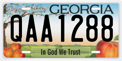 GA license plate QAA1288