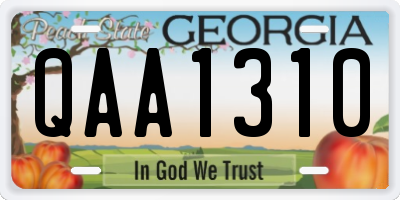 GA license plate QAA1310