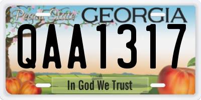 GA license plate QAA1317