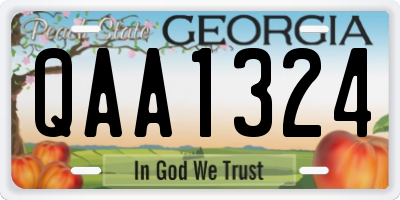 GA license plate QAA1324