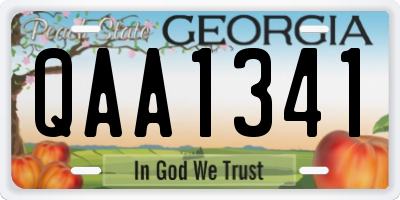 GA license plate QAA1341