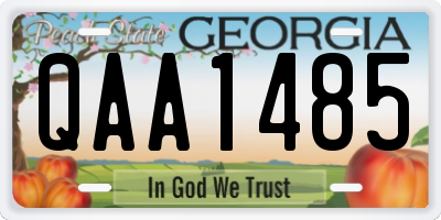 GA license plate QAA1485