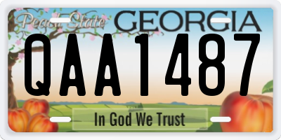 GA license plate QAA1487