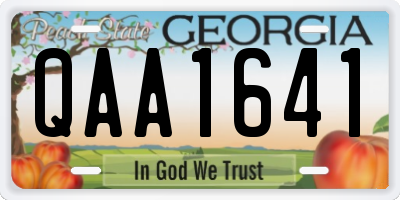 GA license plate QAA1641