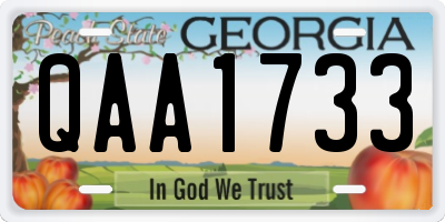 GA license plate QAA1733