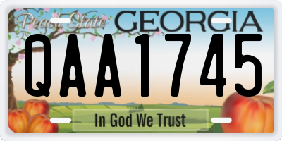 GA license plate QAA1745