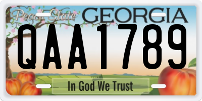 GA license plate QAA1789