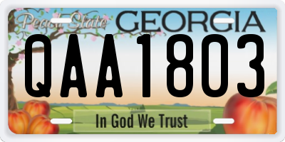 GA license plate QAA1803