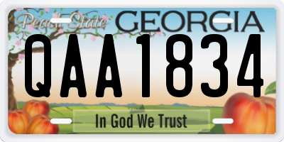 GA license plate QAA1834
