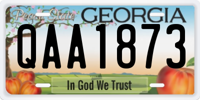 GA license plate QAA1873