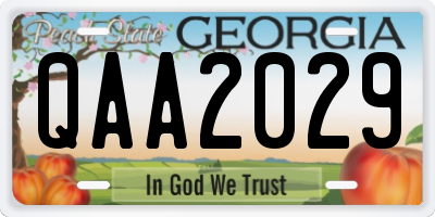 GA license plate QAA2029