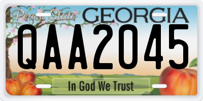 GA license plate QAA2045