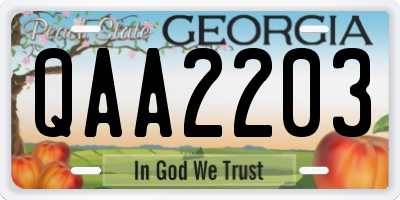 GA license plate QAA2203