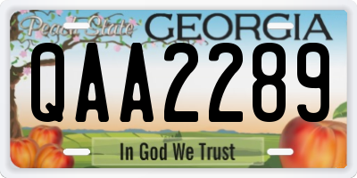GA license plate QAA2289