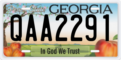 GA license plate QAA2291