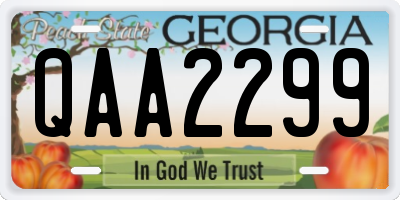 GA license plate QAA2299