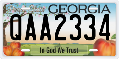 GA license plate QAA2334