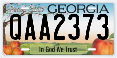 GA license plate QAA2373