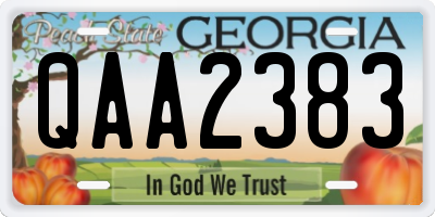 GA license plate QAA2383
