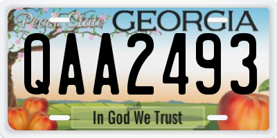 GA license plate QAA2493