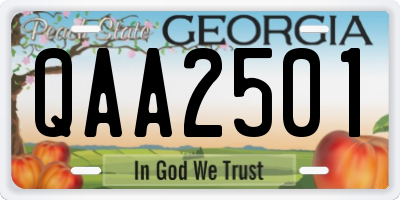 GA license plate QAA2501