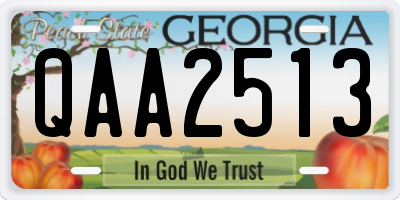GA license plate QAA2513