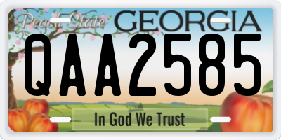 GA license plate QAA2585