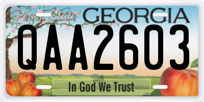 GA license plate QAA2603
