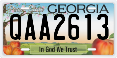 GA license plate QAA2613