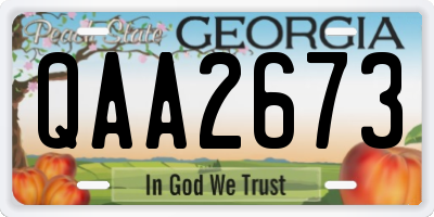 GA license plate QAA2673