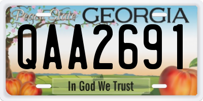 GA license plate QAA2691