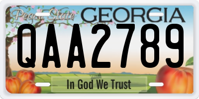 GA license plate QAA2789