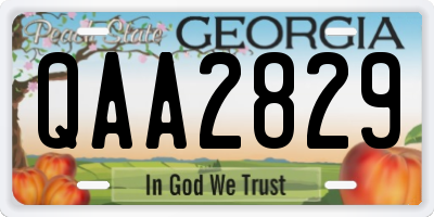 GA license plate QAA2829