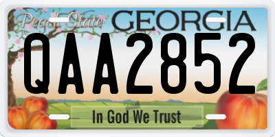 GA license plate QAA2852