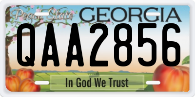 GA license plate QAA2856